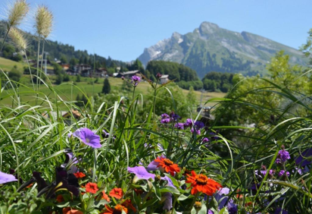 Location D'Appartements - La Residence La Clusaz Εξωτερικό φωτογραφία