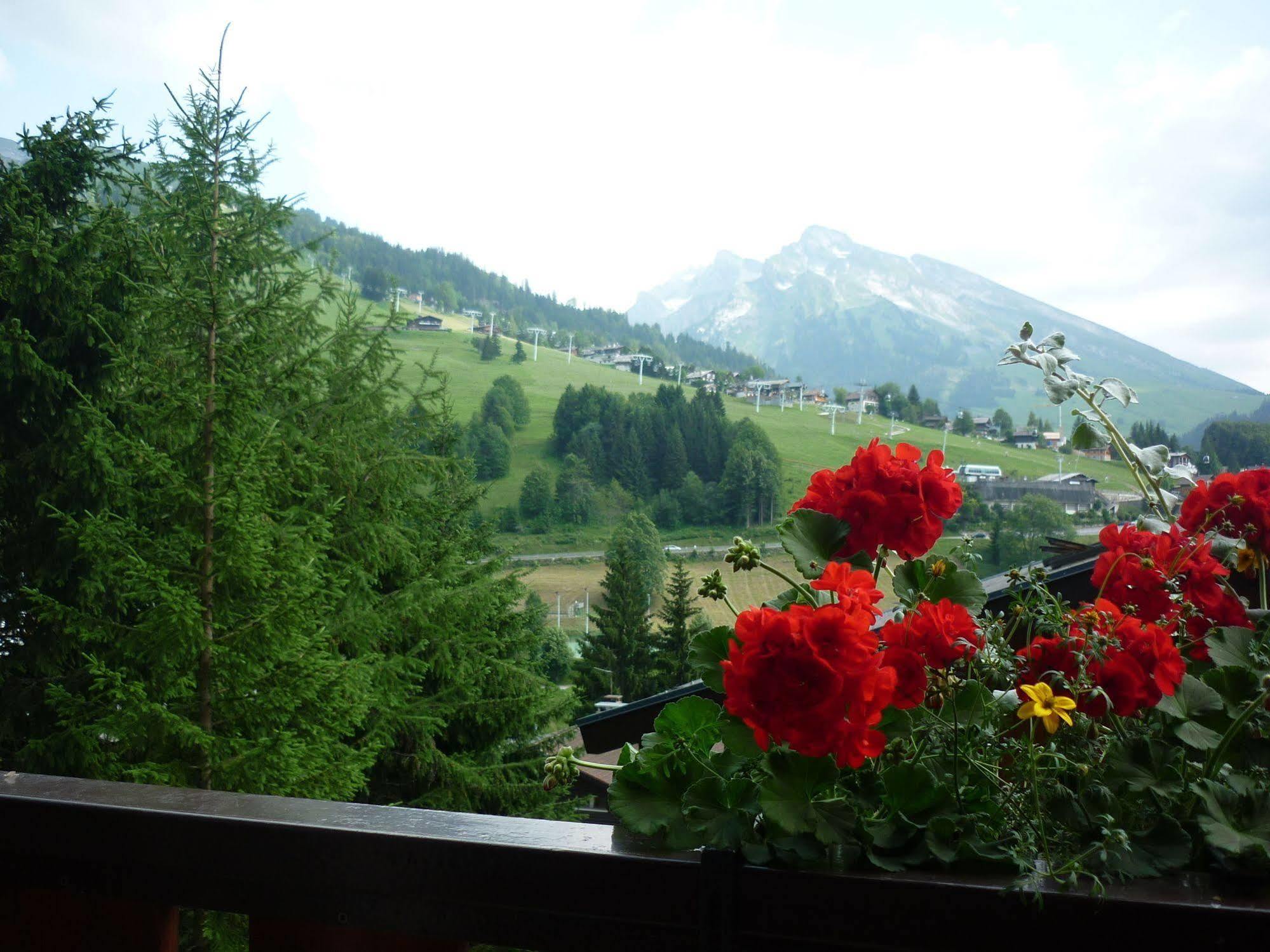 Location D'Appartements - La Residence La Clusaz Εξωτερικό φωτογραφία